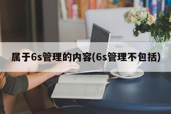 属于6s管理的内容(6s管理不包括)