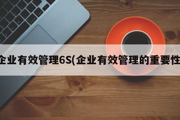 企业有效管理6S(企业有效管理的重要性)